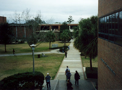 View from Weimer Hall